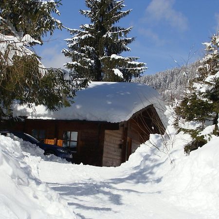 Chalets Ebner Eben Im Pongau Ngoại thất bức ảnh