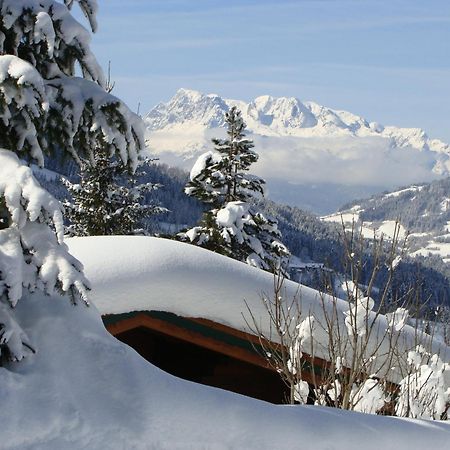 Chalets Ebner Eben Im Pongau Ngoại thất bức ảnh